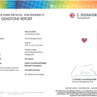 Jewelry Scan Report