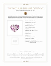 Jewelry Scan Report
