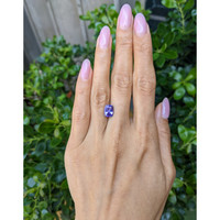 3.10 Ct. Purple Sapphire from Ceylon (Sri Lanka) Life Style