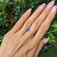 1.67 Ct. Blue Sapphire from Ceylon (Sri Lanka) Life Style