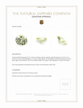 1.01 Ct. Yellow Sapphire from Ceylon (Sri Lanka) Appraisal