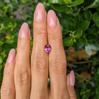 1.66 Ct. Pink Sapphire from Ceylon (Sri Lanka) Life Style
