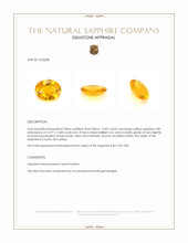 10.87 Ct. Yellow Sapphire from Ceylon (Sri Lanka) Appraisal