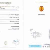 10.87 Ct. Yellow Sapphire from Ceylon (Sri Lanka) Scan Report