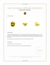 0.99 Ct. Sapphire from Ceylon (Sri Lanka) Appraisal