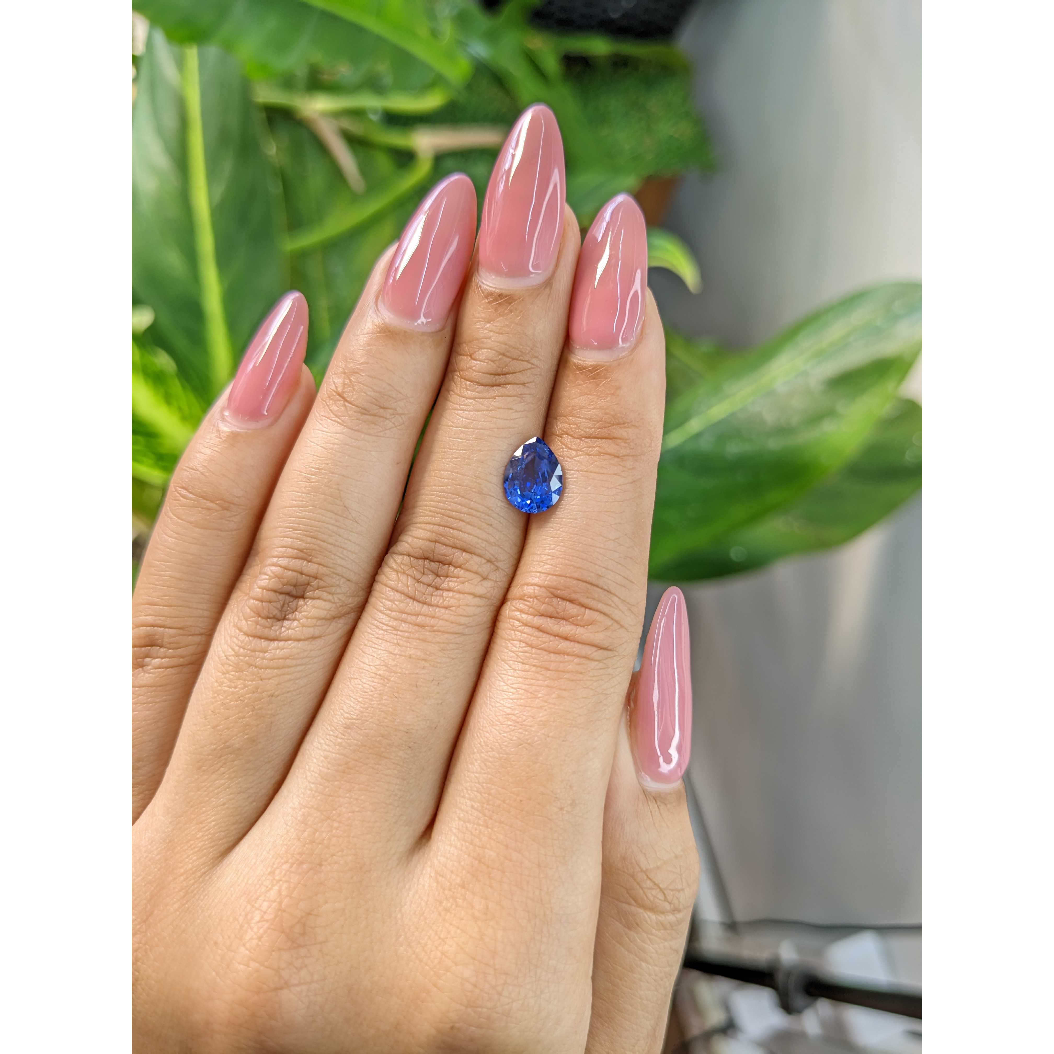 Loose Blue Sapphire - Pear 1.80 Ct. - #S10342 | The Natural