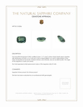 Jewelry Appraisal