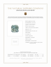 Jewelry Scan Report