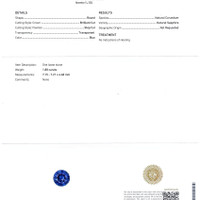 Jewelry Scan Report