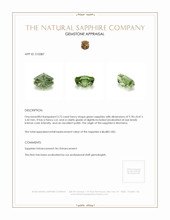 Jewelry Appraisal