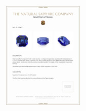 0.87 Ct. Blue Sapphire from Ceylon (Sri Lanka) Appraisal
