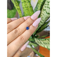 0.87 Ct. Blue Sapphire from Ceylon (Sri Lanka) Life Style