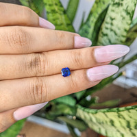 0.99 Ct. Blue Sapphire from Ceylon (Sri Lanka) Life Style