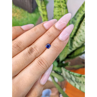0.56 Ct. Blue Sapphire from Ceylon (Sri Lanka) Life Style