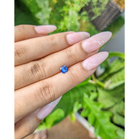 0.73 Ct. Blue Sapphire from Ceylon (Sri Lanka) Life Style