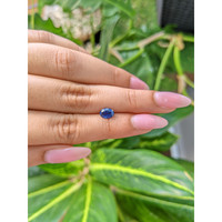 1.03 Ct. Blue Sapphire from Ceylon (Sri Lanka) Life Style