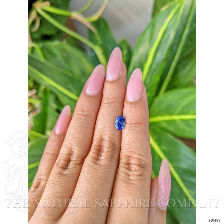 1.11 Ct. Blue Sapphire from Ceylon (Sri Lanka)
