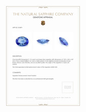 1.10 Ct. Blue Sapphire from Ceylon (Sri Lanka) Appraisal