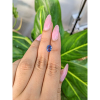 1.10 Ct. Blue Sapphire from Ceylon (Sri Lanka) Life Style