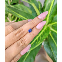1.30 Ct. Blue Sapphire from Ceylon (Sri Lanka) Life Style