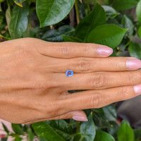 1.06 Ct. Blue Sapphire from Burma (Myanmar) Life Style