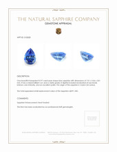 0.97 Ct. Sapphire from Ceylon (Sri Lanka) Appraisal