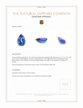 1.02 Ct. Blue Sapphire from Ceylon (Sri Lanka) Appraisal