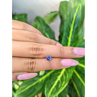 0.80 Ct. Blue Sapphire from Ceylon (Sri Lanka) Life Style