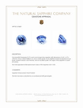 0.70 Ct. Blue Sapphire from Ceylon (Sri Lanka) Appraisal