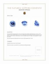 0.70 Ct. Blue Sapphire from Ceylon (Sri Lanka) Appraisal