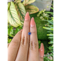 0.77 Ct. Blue Sapphire from Ceylon (Sri Lanka) Life Style