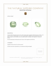 Jewelry Appraisal
