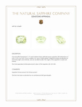 Jewelry Appraisal