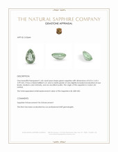 Jewelry Appraisal