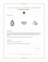 Jewelry Appraisal