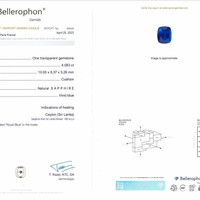 Jewelry Scan Report