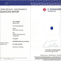 4.05 Ct. Blue Sapphire from Ceylon (Sri Lanka) Scan Report