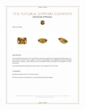 Jewelry Appraisal