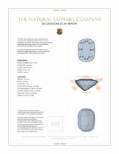 Jewelry 3 D Scan Report