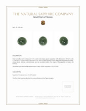 2.75 Ct. Green Cabochon Sapphire from Ceylon (Sri Lanka) Appraisal