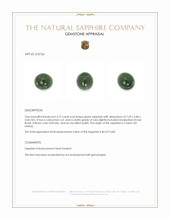 Jewelry Appraisal