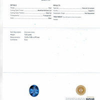 7.03 Ct. Blue Sapphire from Ceylon (Sri Lanka) Scan Report