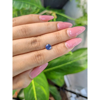 1.13 Ct. Blue Sapphire from Ceylon (Sri Lanka) Life Style