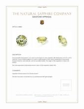 Jewelry Appraisal