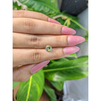 1.65 Ct. Bi Color Sapphire from Ceylon (Sri Lanka) Life Style