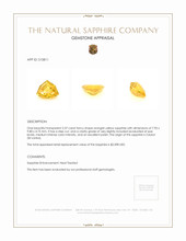 2.57 Ct. Yellow Sapphire from Ceylon (Sri Lanka) Appraisal