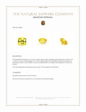 1.22 Ct. Yellow Sapphire from Ceylon (Sri Lanka) Appraisal