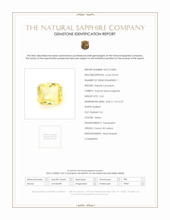 Jewelry Scan Report