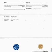 4.55 Ct. Blue Sapphire from Ceylon (Sri Lanka) Scan Report