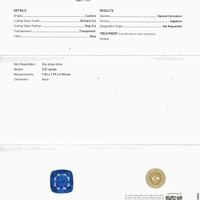 3.01 Ct. Blue Sapphire from Ceylon (Sri Lanka) Scan Report